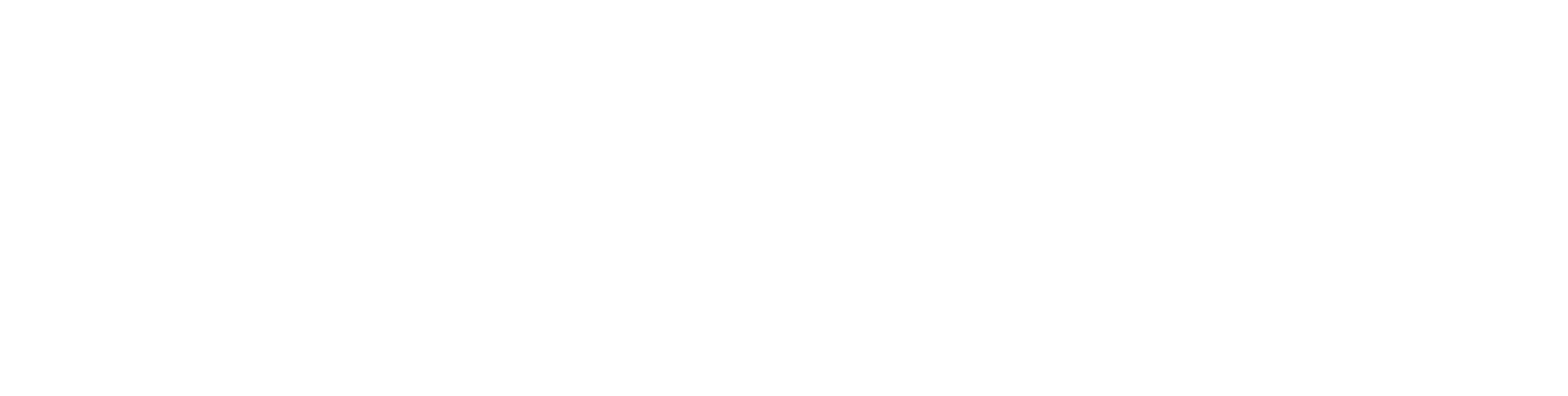 NMUSA-logo-white